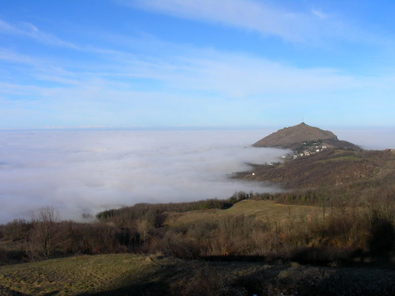 Nebbia-110115-55b.jpg