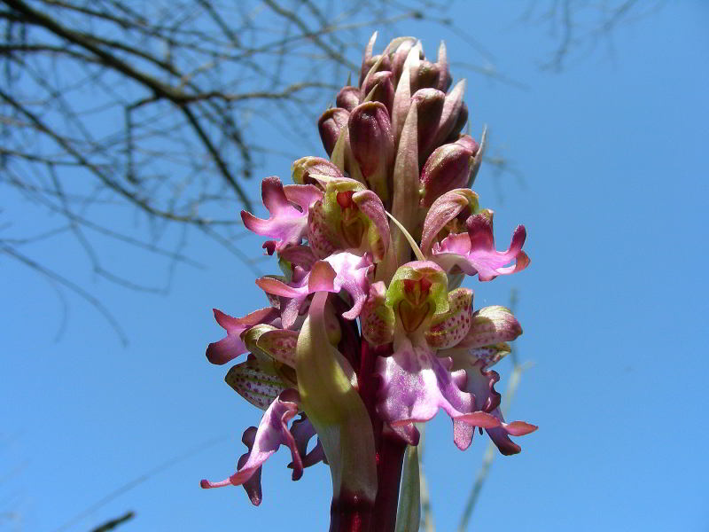 DSCN5876.jpg