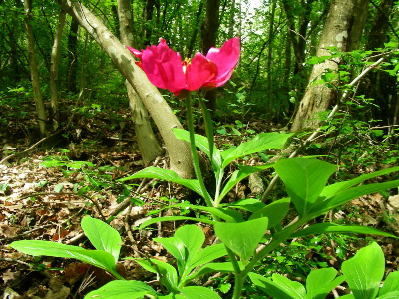 DSCN7356.JPG