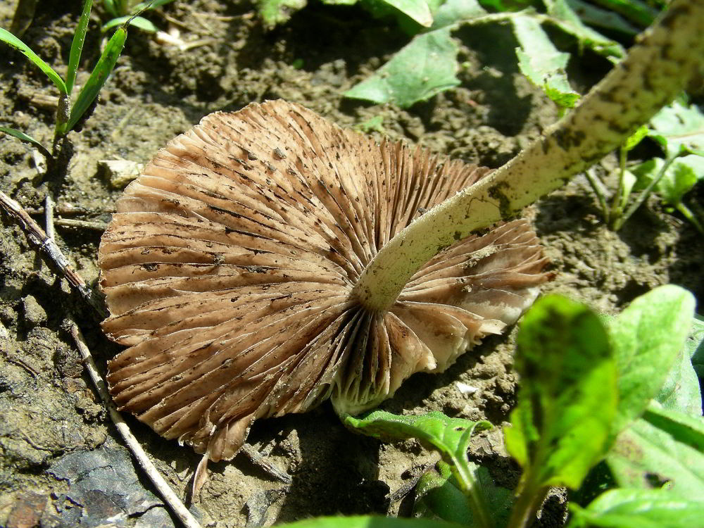 DSCN0264001.jpg