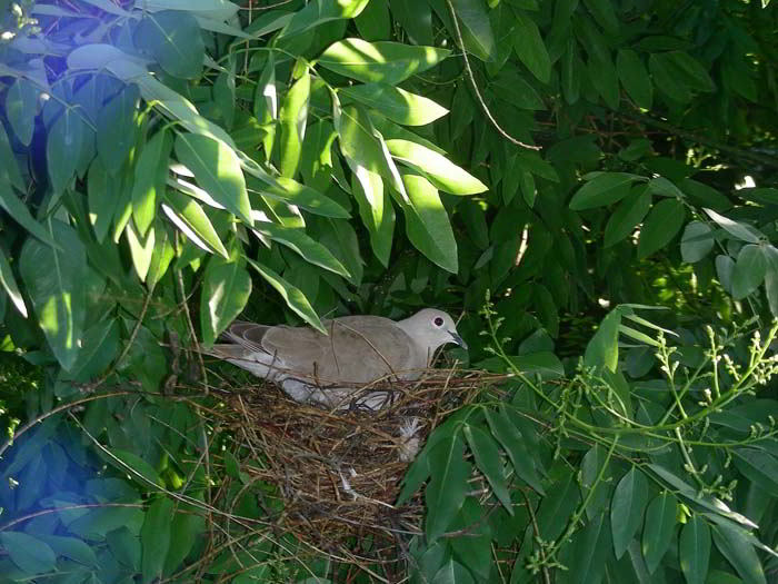 DSCN0268001.jpg