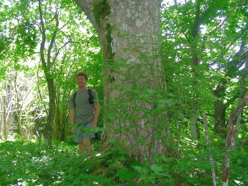 DSCN2724001.jpg