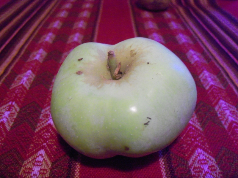 100_3624.JPG