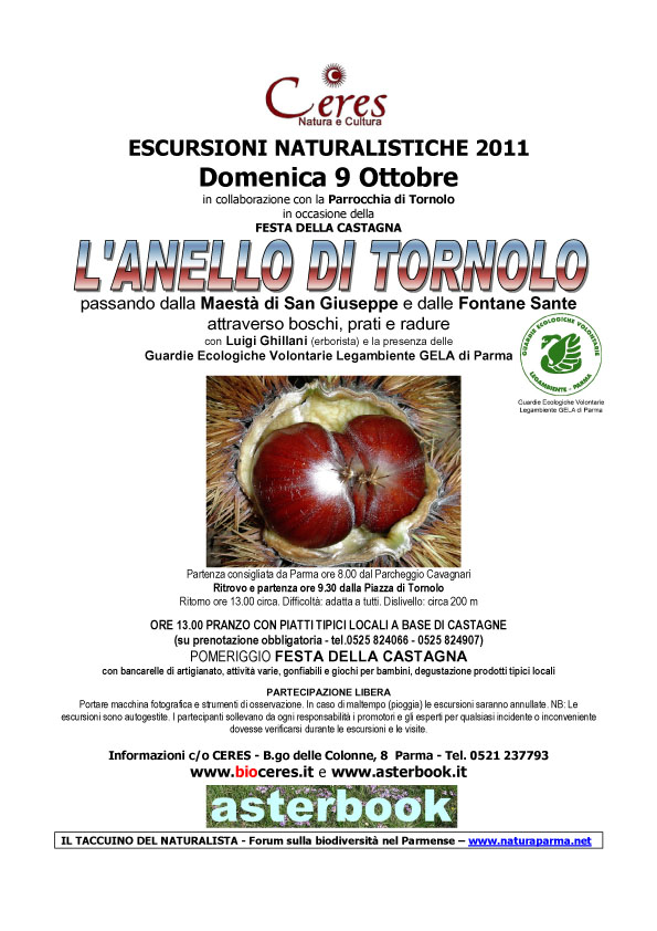 EscTornolo9ott11 copia.jpg