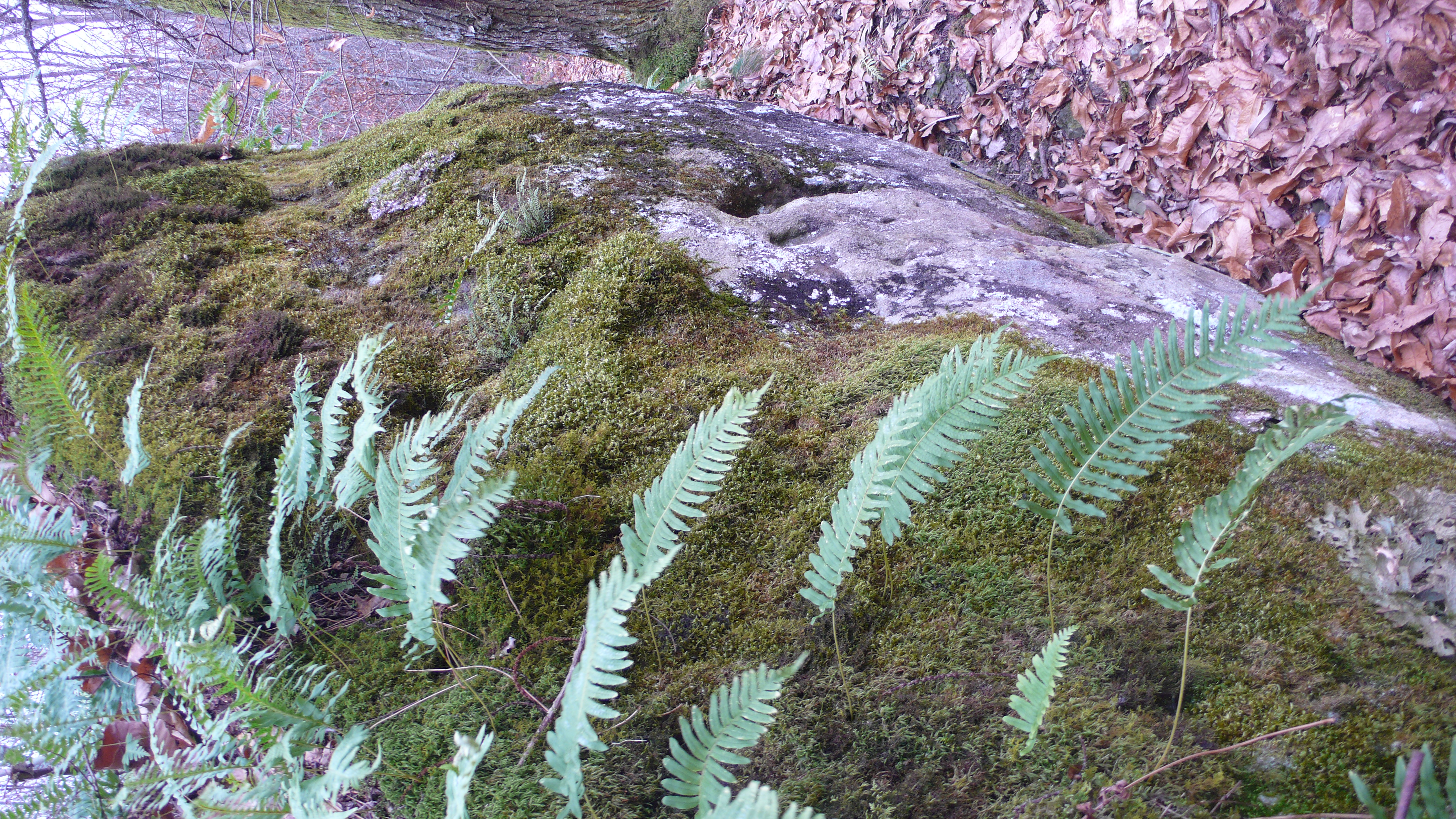 P1100324.JPG