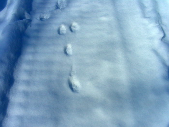 Tracce-05-copia.jpg