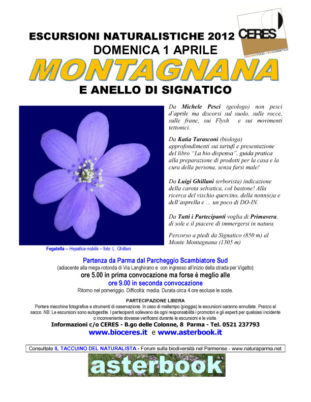 Esc-Montagnana-Signatico-1a.jpg