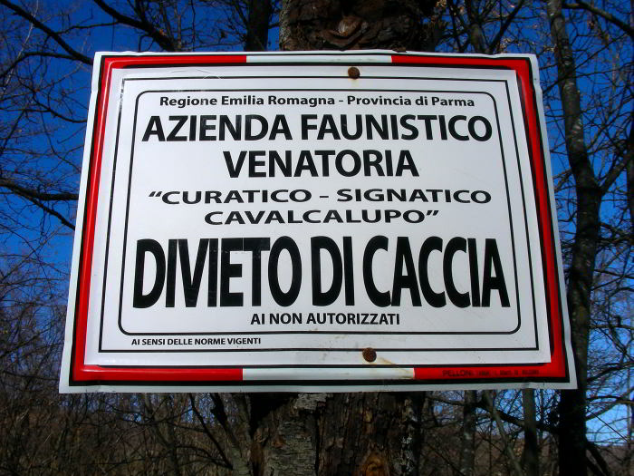 Divieto-di-caccia.jpg