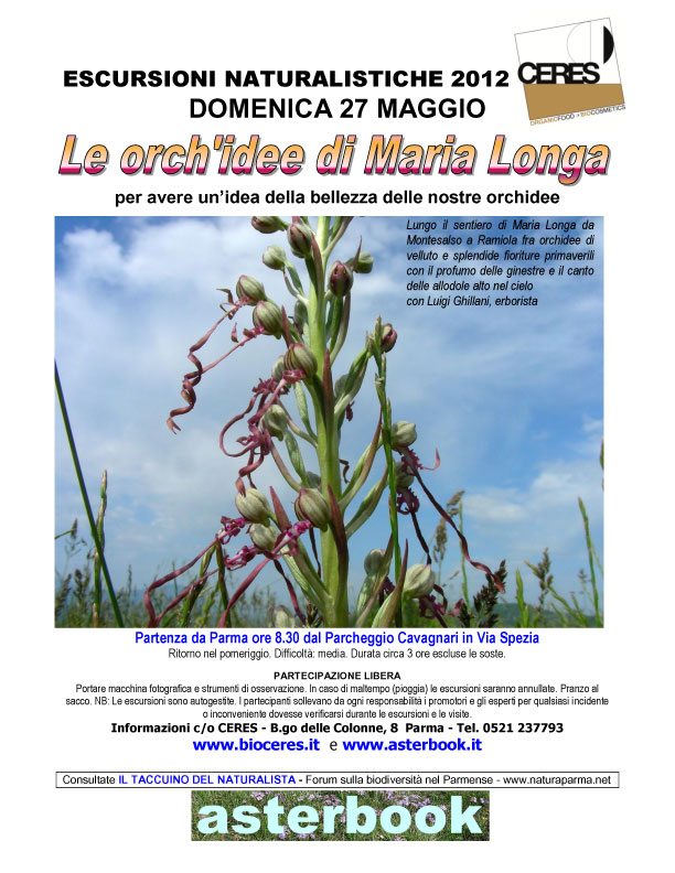 Esc-Maria-Longa-mag12.jpg