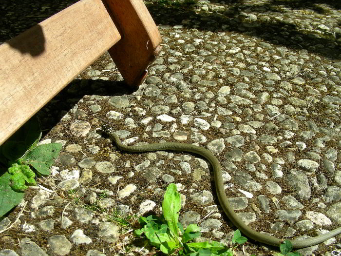 DSCN7883.jpg